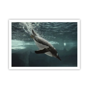 Poster - Ein Pinguin taucht in die Tiefen des eisigen Wassers - 100x70cm - Willkommen in meiner Welt - Moderne Wanddekoration für Wohnzimmer und Schlafzimmer ARTTOR