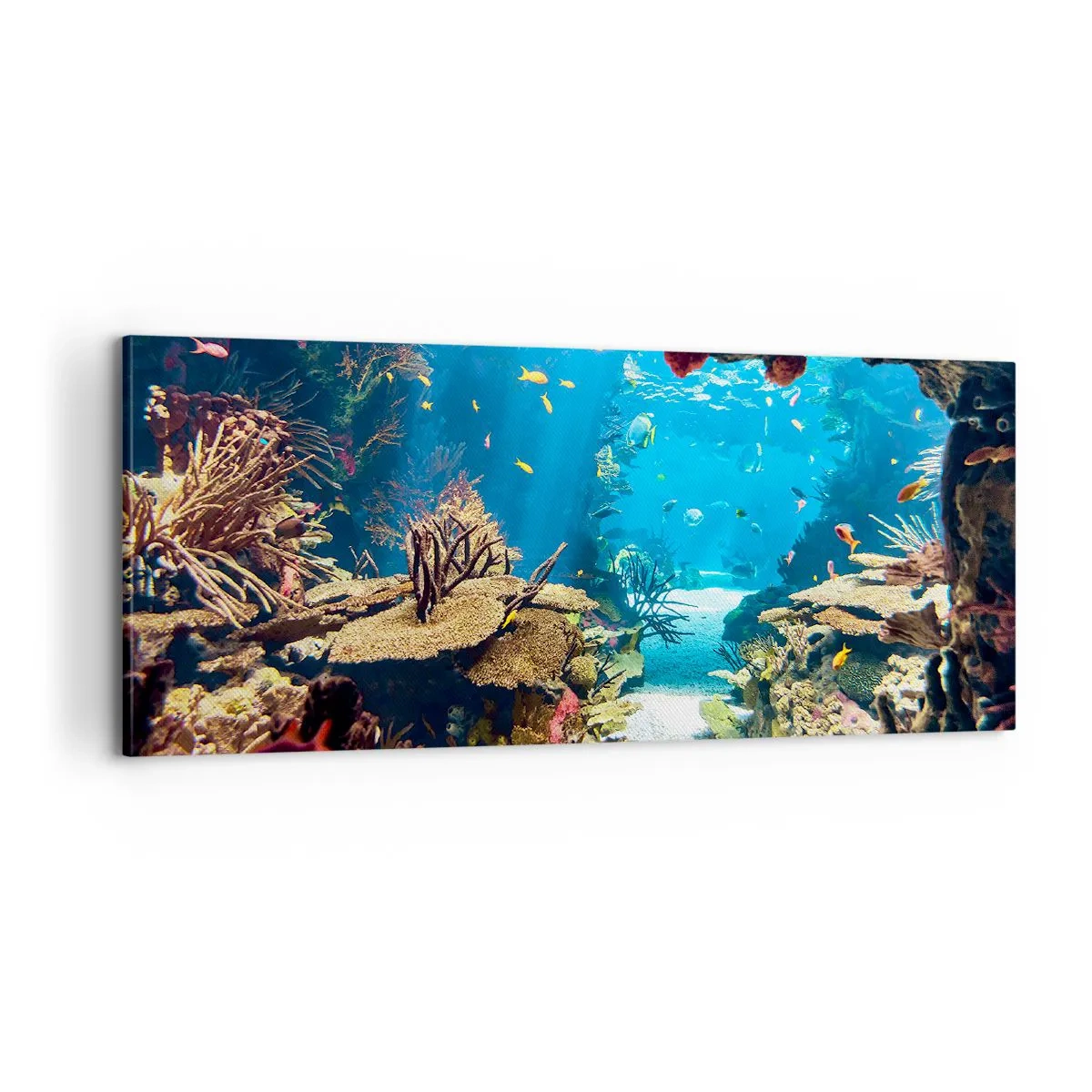 Bild auf Leinwand - Leinwandbild - Du hast es noch nicht einmal geträumt - 100x40 cm