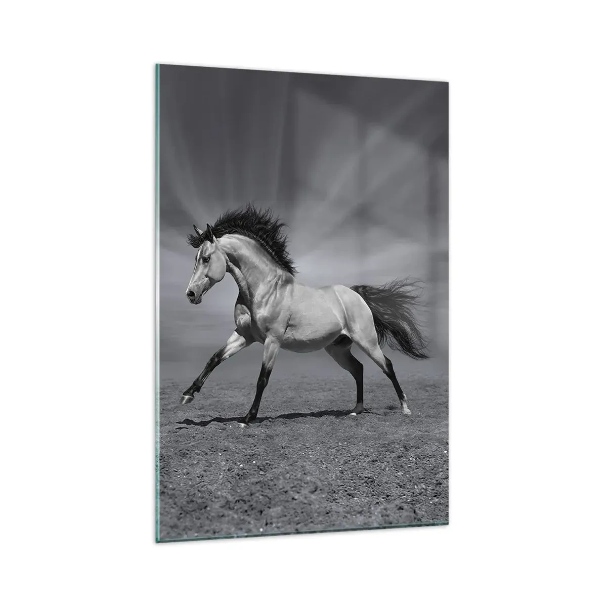 Glasbild - Bild auf glas - Ein schwarz-weißes Pferd in einer dynamischen Pose in der Wüste. - 80x120cm - Geboren um Freude zu bereiten - Moderne Wanddekoration für Wohnzimmer und Schlafzimmer ARTTOR