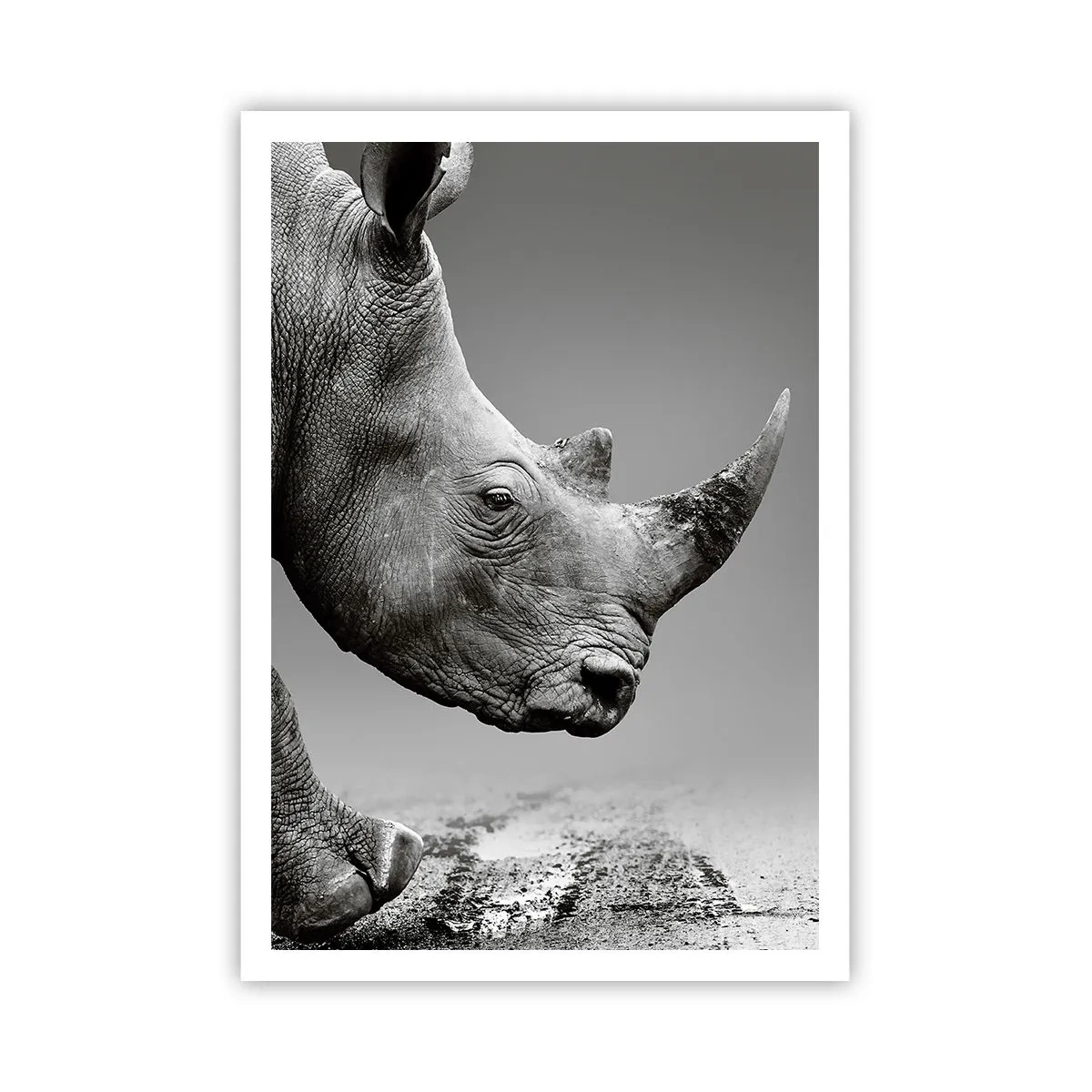 Poster - Unaufhaltsame Stärke - 70x100 cm