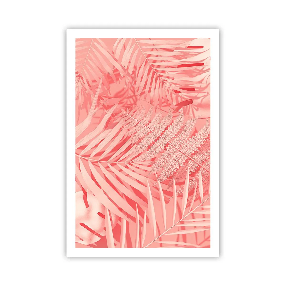 Poster - Rosa Konzept - 61x91 cm