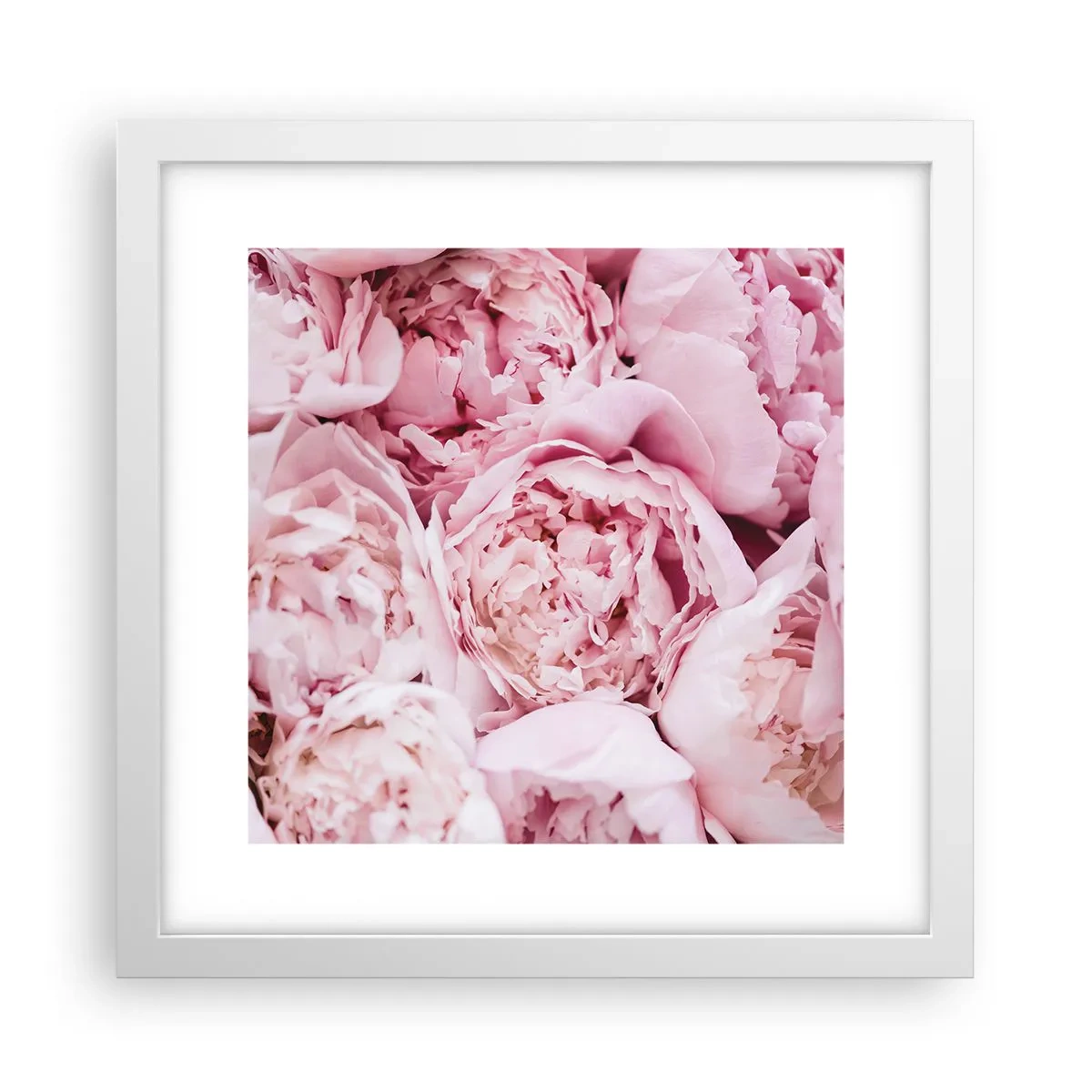 Poster in einem weißen Rahmen - Anschmiegsam und duftend - 30x30 cm