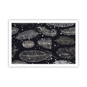 Poster - Gefiederte Spitze - 91x61 cm