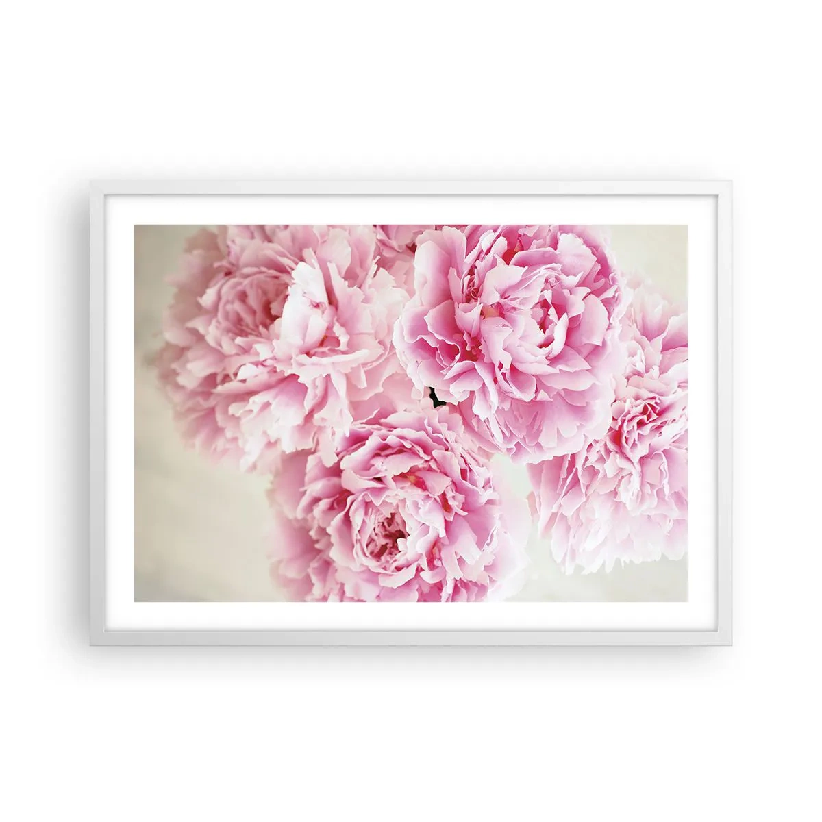 Poster in einem weißen Rahmen - In rosa Glamour - 70x50 cm