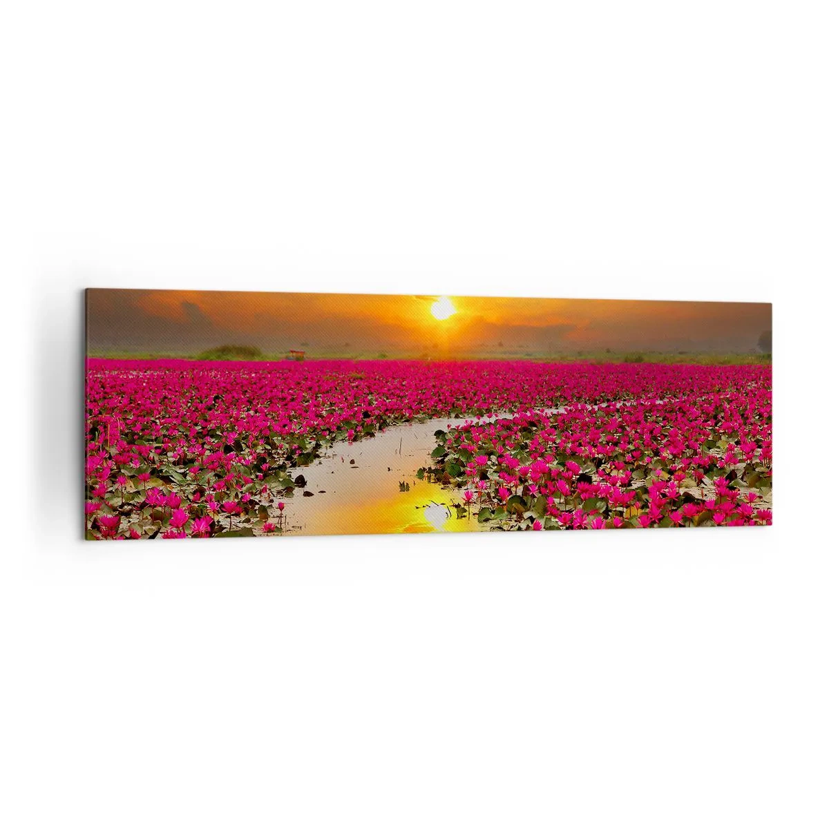 Bild auf Leinwand - Leinwandbild - Ein Feld mit rosa Seerosen bei Sonnenuntergang - 160x50cm - Das geheime Leben des Sees - Moderne Wanddekoration für Wohnzimmer und Schlafzimmer ARTTOR
