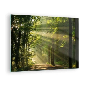 Glasbild - Bild auf glas - Ein Waldweg, beleuchtet von den Sonnenstrahlen - 70x50cm - Waldmoment - Moderne Wanddekoration für Wohnzimmer und Schlafzimmer ARTTOR
