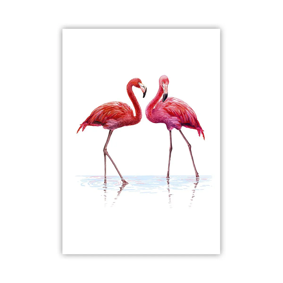 Poster - Rosa randez-vous - 70x100 cm