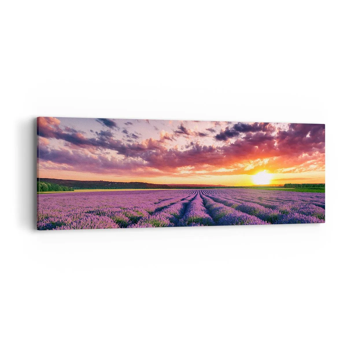 Bild auf Leinwand - Leinwandbild - Lavendel Welt - 90x30 cm