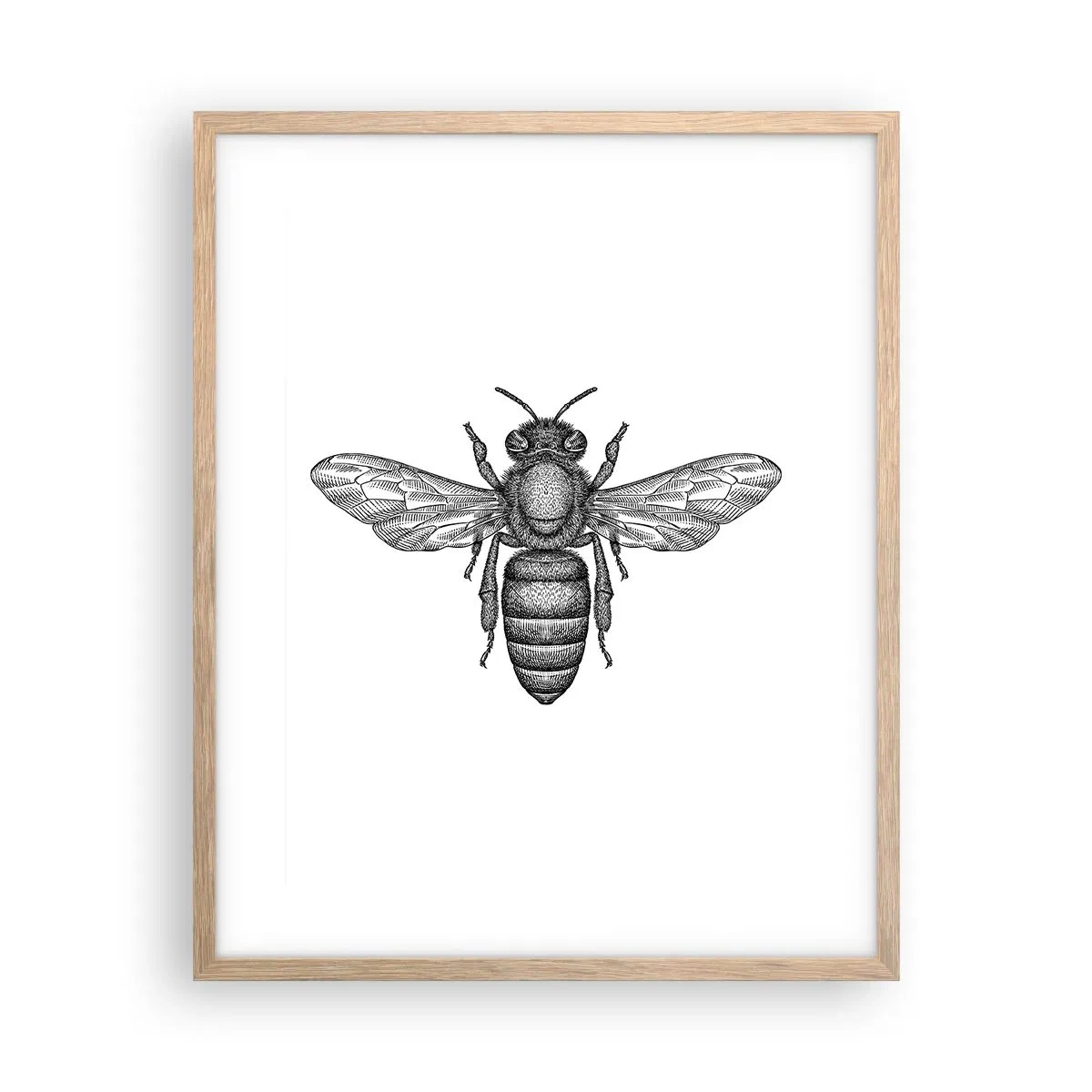 Poster in einem Rahmen aus heller Eiche - Insektenporträt - 40x50 cm