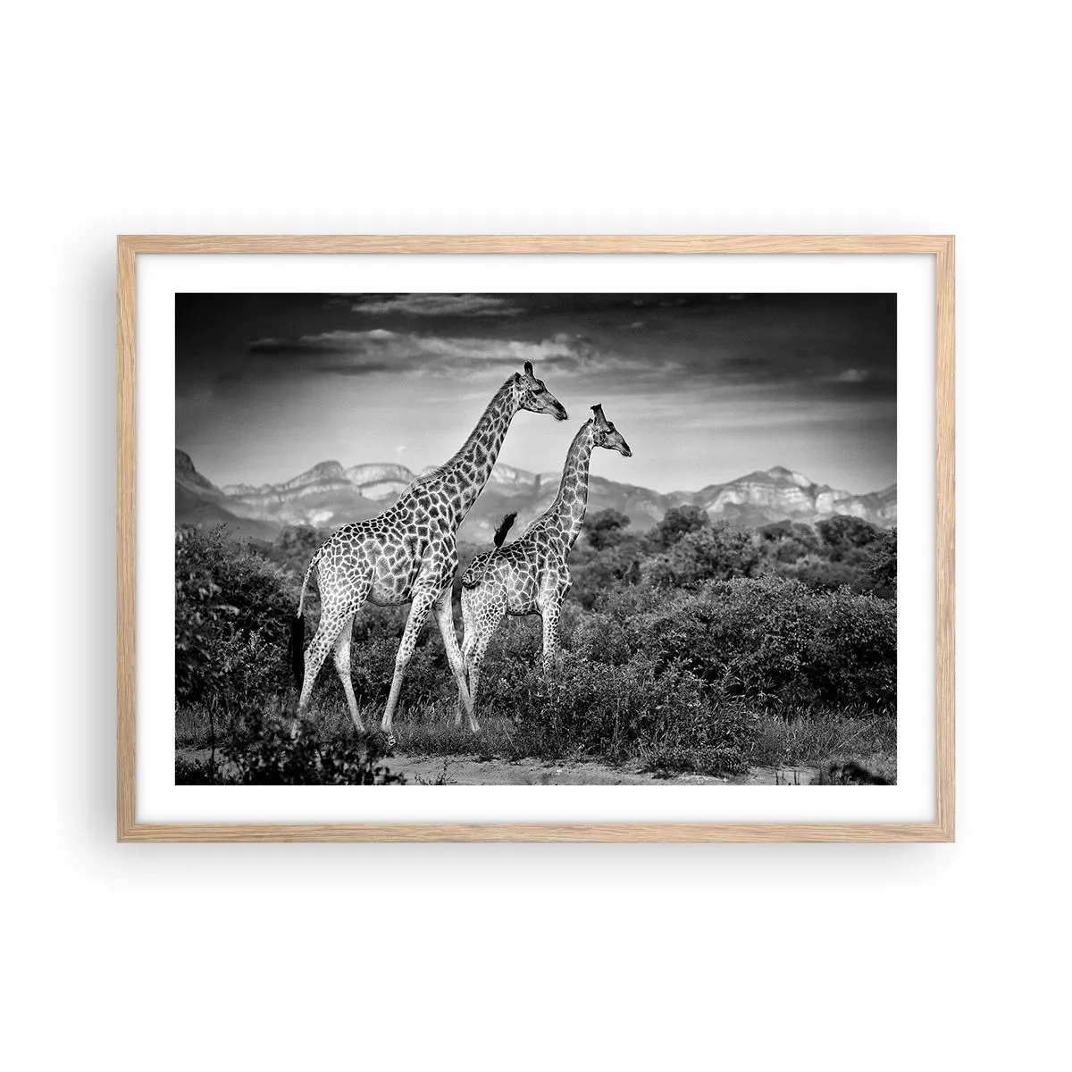 Poster in einem Rahmen aus heller Eiche - Hohe Sphären in Afrika - 70x50 cm