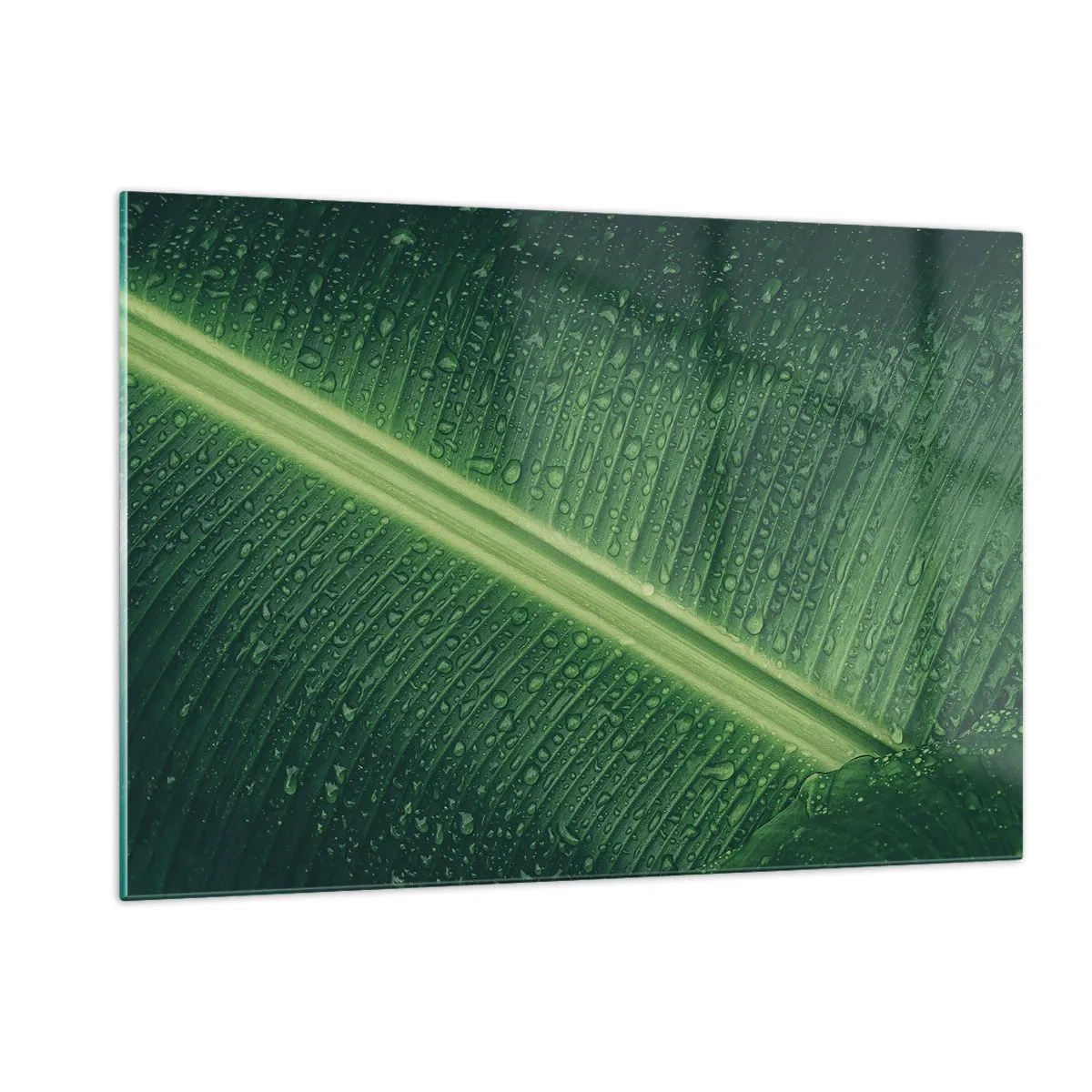 Glasbild - Bild auf glas - Nahaufnahme eines grünen Blattes mit Wassertropfen - 120x80cm - Die Struktur des Grüns - Moderne Wanddekoration für Wohnzimmer und Schlafzimmer ARTTOR