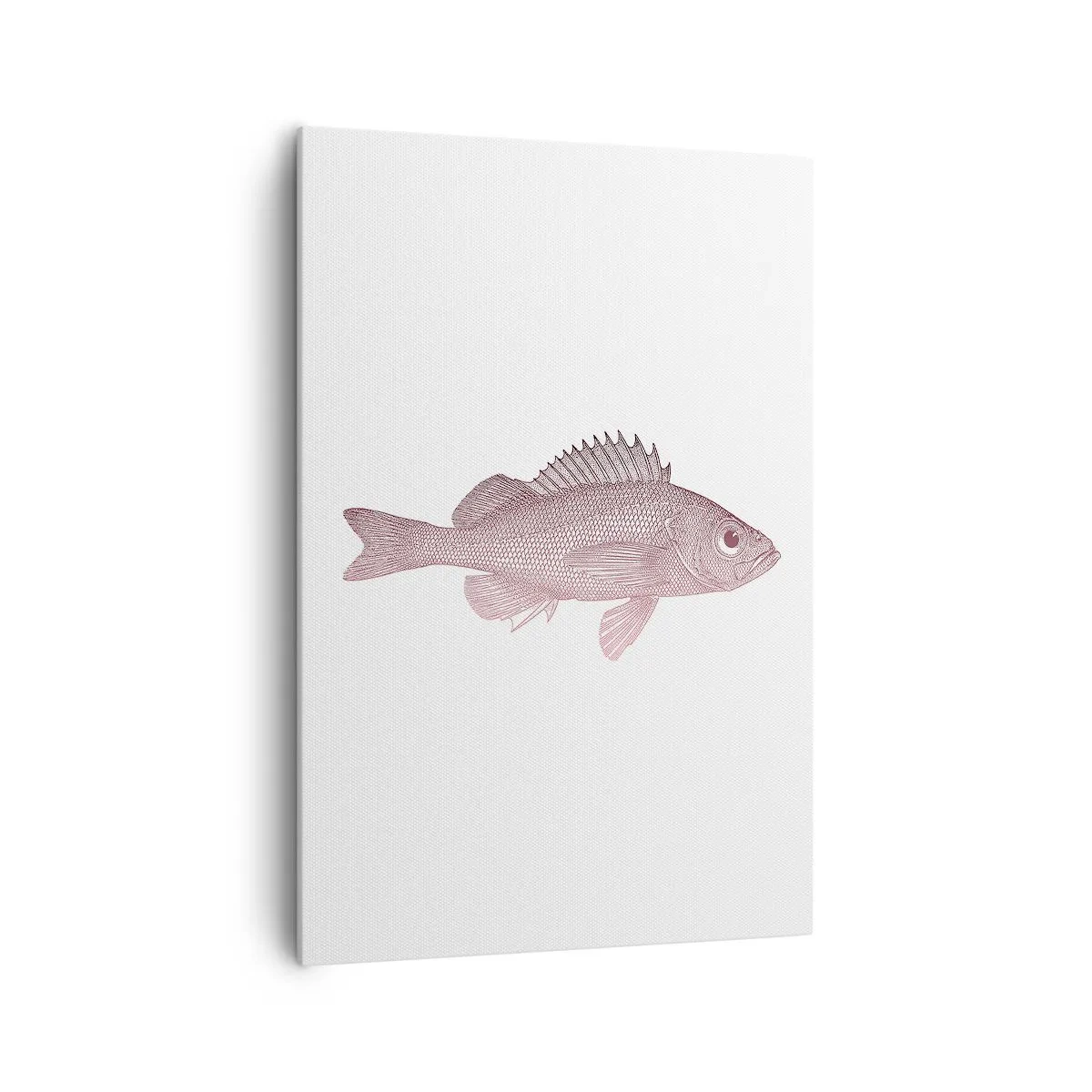 Bild auf Leinwand - Leinwandbild - Detaillierte Darstellung eines Fisches auf weißem Hintergrund - 70x100cm - Großäugiger Fisch - Moderne Wanddekoration für Wohnzimmer und Schlafzimmer ARTTOR