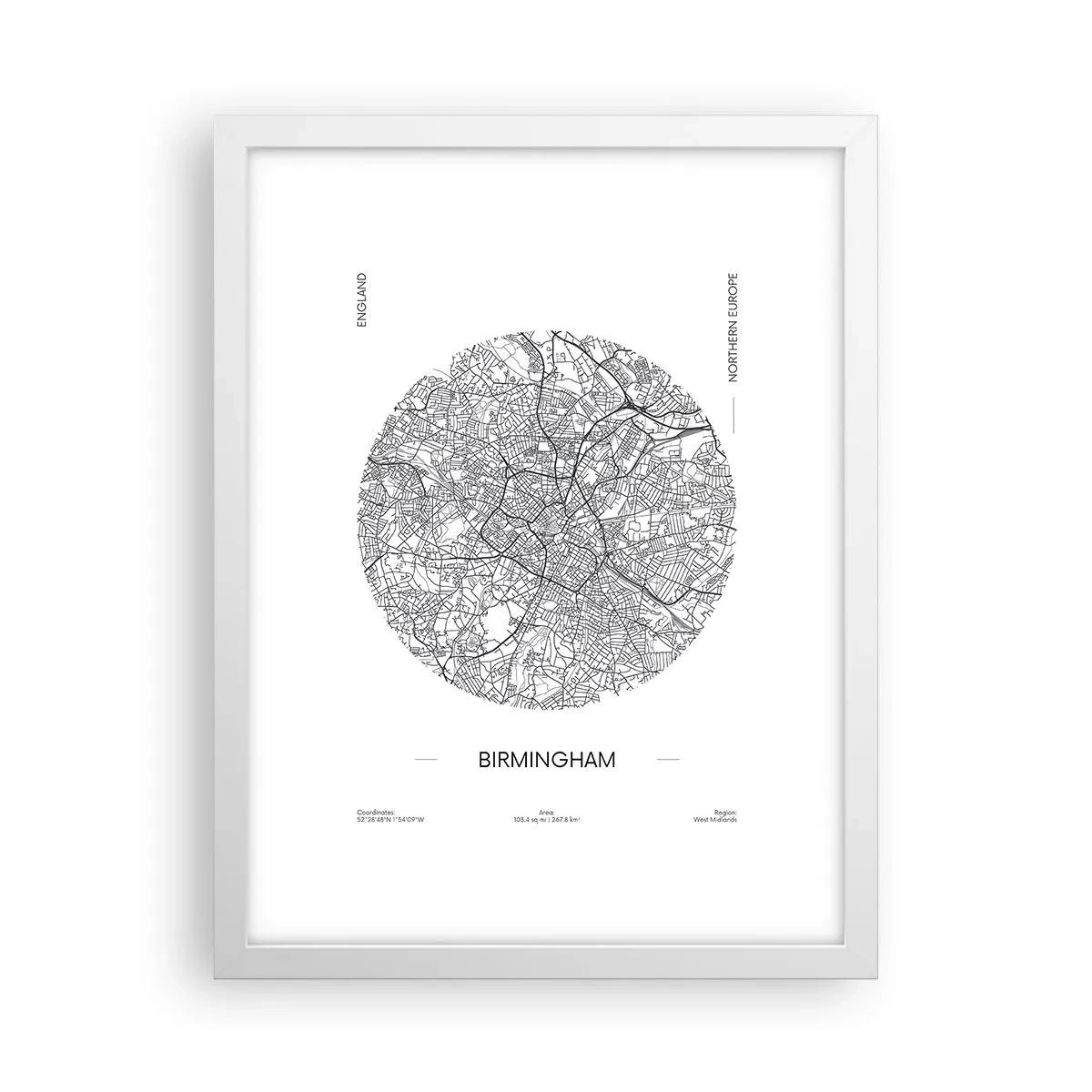 Poster in einem weißen Rahmen - Anatomie von Birmingham - 30x40 cm