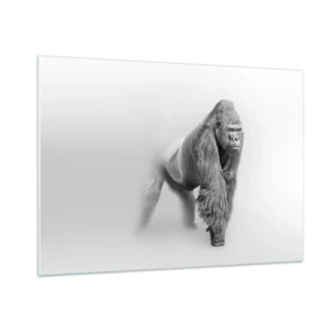 Glasbild - Bild auf glas - Schwarz-Weiß-Porträt eines majestätischen Gorillas vor weißem Hintergrund - 100x70cm - Zuversichtlich in seiner Stärke - Moderne Wanddekoration für Wohnzimmer und Schlafzimmer ARTTOR