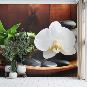 Maßgeschneiderte Fototapete Premium Canvas - Geben Sie sich dem Hauch der Natur hin - Blumen, Orchidee, Orchidee