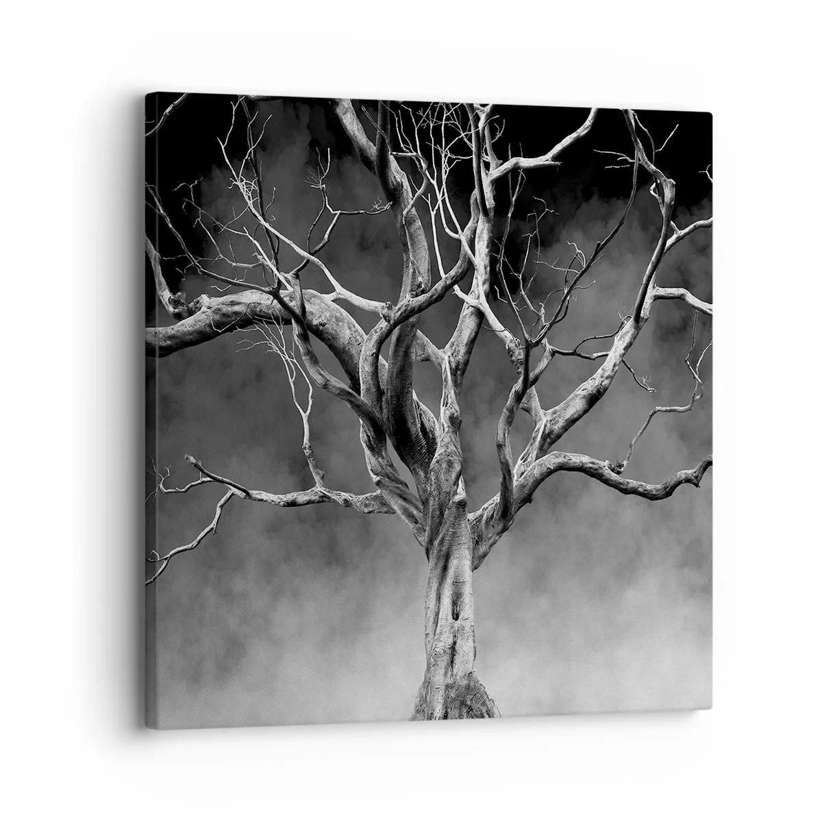 Bild auf Leinwand - Leinwandbild - Ursprünglich und heilig - 30x30 cm
