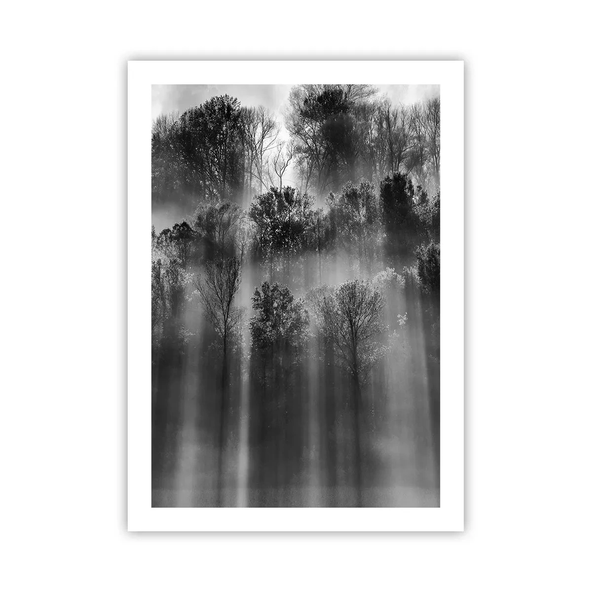 Poster - Schwarz-weißer Wald im Nebel mit Sonnenstrahlen - 50x70cm - In Lichtstrahlen - Moderne Wanddekoration für Wohnzimmer und Schlafzimmer ARTTOR