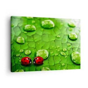 Bild auf Leinwand - Leinwandbild - Zwei Marienkäfer auf einem Blatt mit Wassertropfen in der Makrofotografie - 70x50cm - Treffen im Grünen - Moderne Wanddekoration für Wohnzimmer und Schlafzimmer ARTTOR