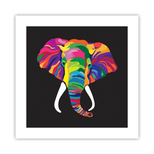 Poster - Der Elefant, der es liebte, im Regenbogen zu baden - 40x40 cm