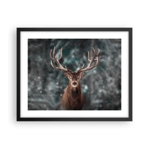 Poster in einem schwarzem Rahmen - Gekrönter König des Waldes - 50x40 cm