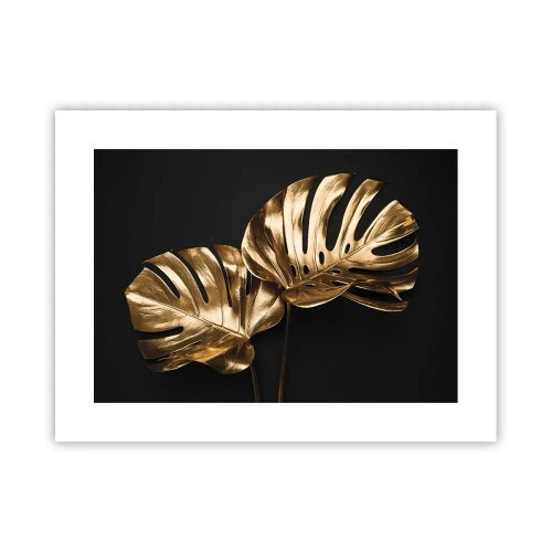 Poster - Die Schätze der Natur - 40x30 cm