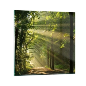 Glasbild - Bild auf glas - Waldmoment - 40x40 cm