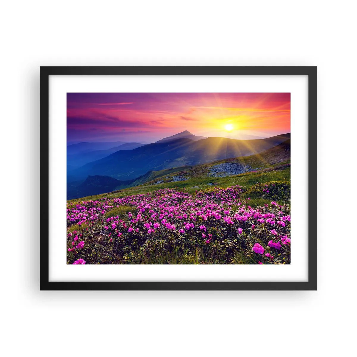 Poster in einem schwarzem Rahmen - … Und drumherum duftet es nach Latschenkiefer und dem Duft von Kräutern - 50x40 cm