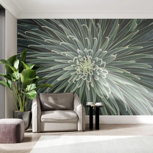 Fototapete Premium Canvas - Ein Star ist geboren - Agavenblüte, Agave, Blumen - 350x256 cm