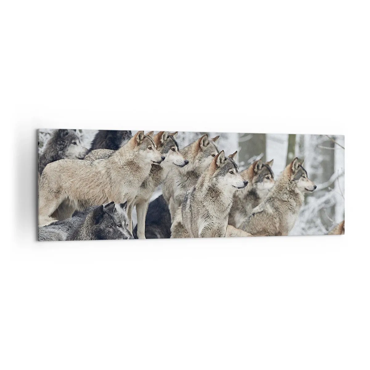 Bild auf Leinwand - Leinwandbild - Ein Wolfsrudel im Winterwald - 160x50cm - Familie und Freunde - Moderne Wanddekoration für Wohnzimmer und Schlafzimmer ARTTOR