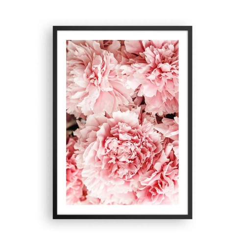 Poster in einem schwarzem Rahmen - Zarte rosa Pfingstrosen in voller Blüte - 50x70cm - Rosa Traum - Moderne Wanddekoration für Wohnzimmer und Schlafzimmer ARTTOR