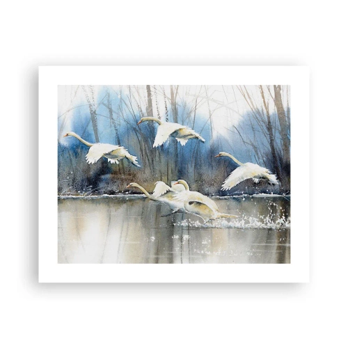 Poster - Wie im Märchen von den wilden Schwänen - 50x40 cm