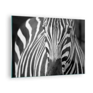 Glasbild - Bild auf glas - Schwarz-Weiß-Porträt eines Zebras mit sichtbaren Streifen - 70x50cm - Die Welt ist schwarz und weiß - Moderne Wanddekoration für Wohnzimmer und Schlafzimmer ARTTOR