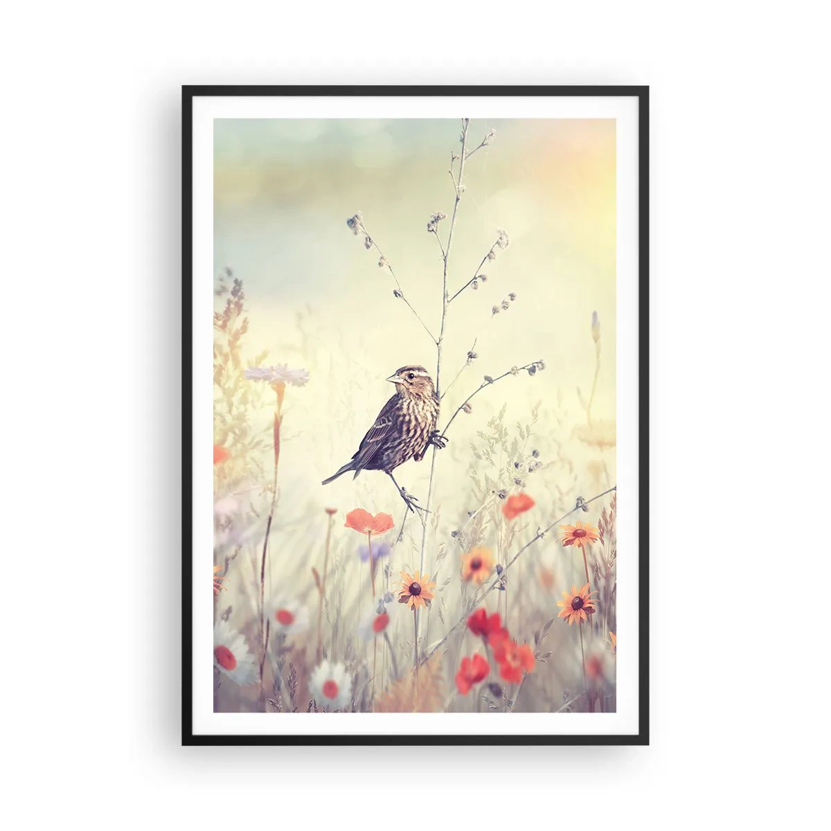 Poster in einem schwarzem Rahmen - Vogelporträt mit einer Wiese im Hintergrund - 70x100 cm