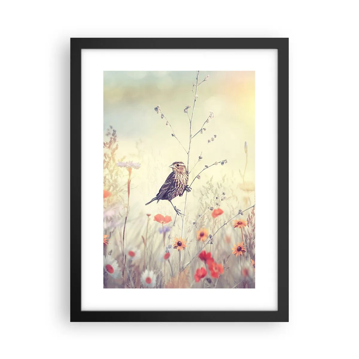 Poster in einem schwarzem Rahmen - Vogelporträt mit einer Wiese im Hintergrund - 30x40 cm