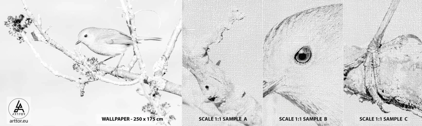 Fototapeten Muster Premium Canvas - Wintermorgen - Hell, Vogel, Natur - 100x30 cm