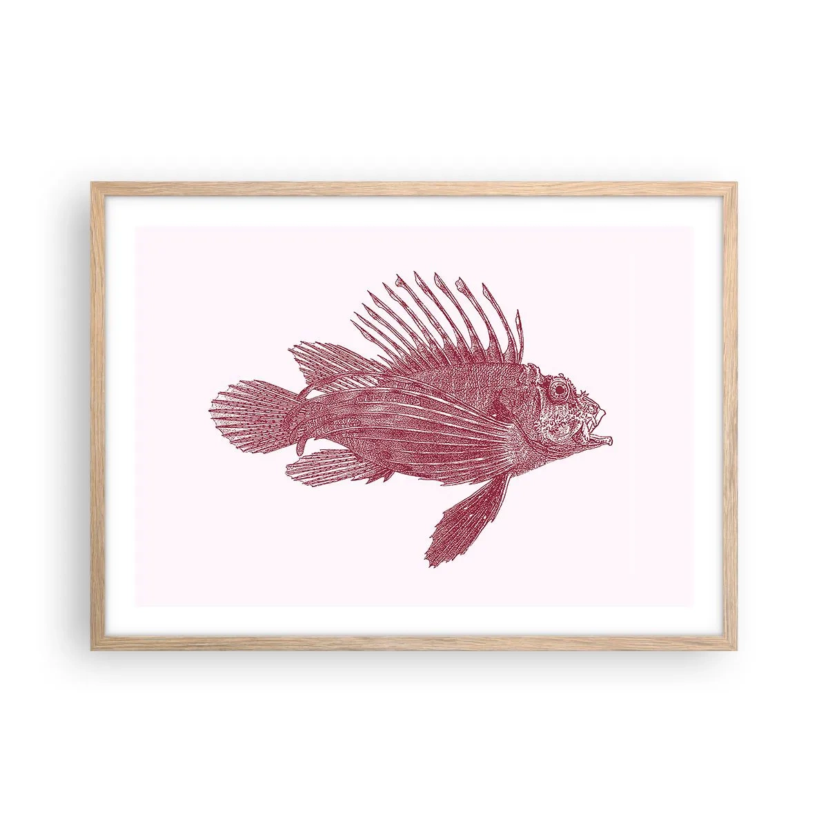 Poster in einem Rahmen aus heller Eiche - Bewohner exotischer Gewässer - 70x50 cm