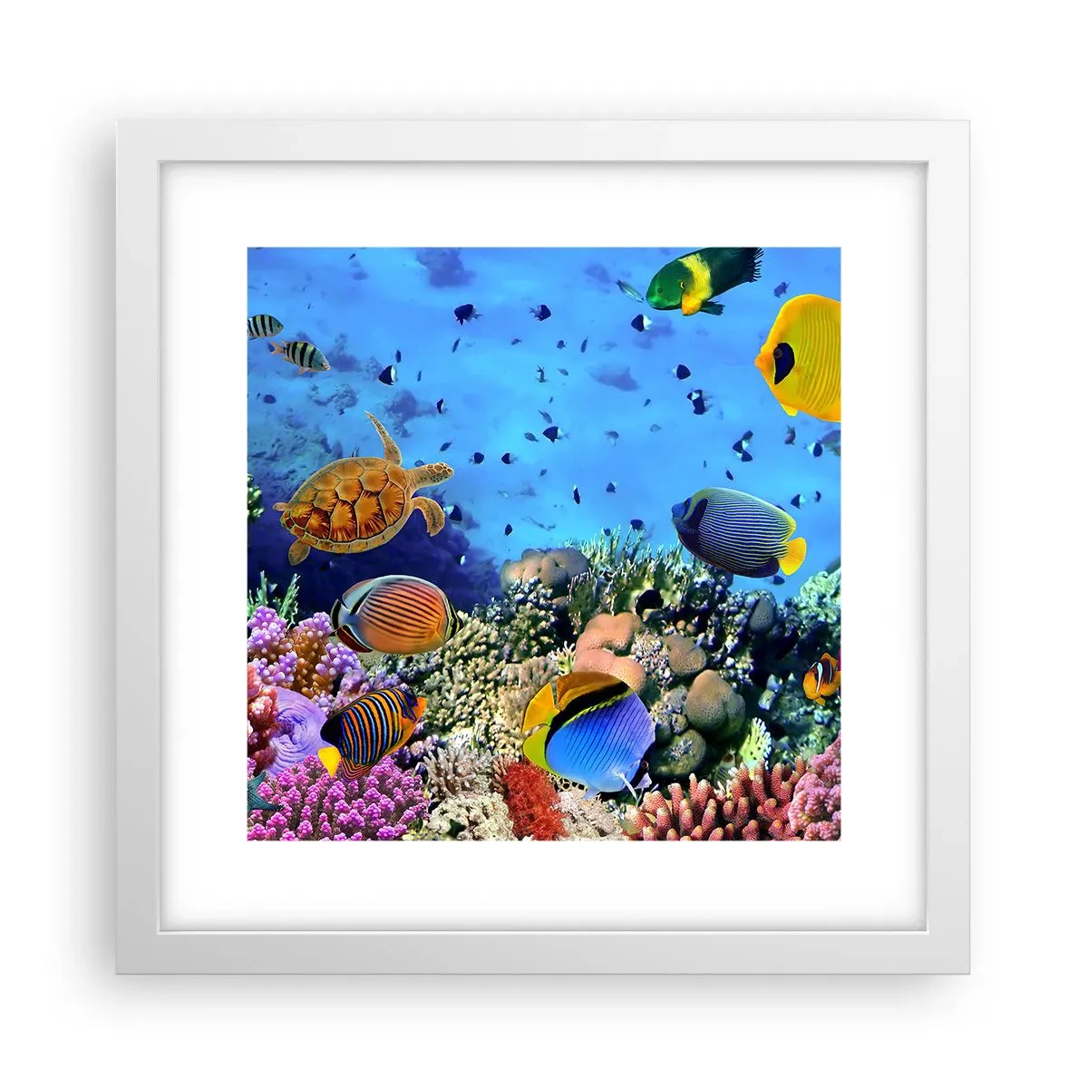 Poster in einem weißen Rahmen - Und was wissen wir über das Leben ... - 30x30 cm