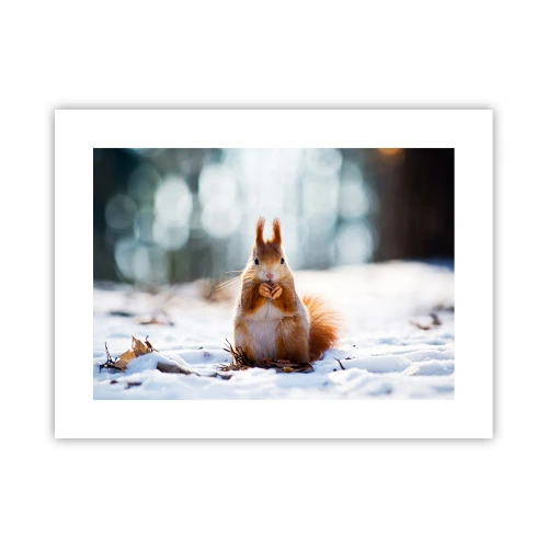 Poster - Wo schaust du hin? - 40x30 cm