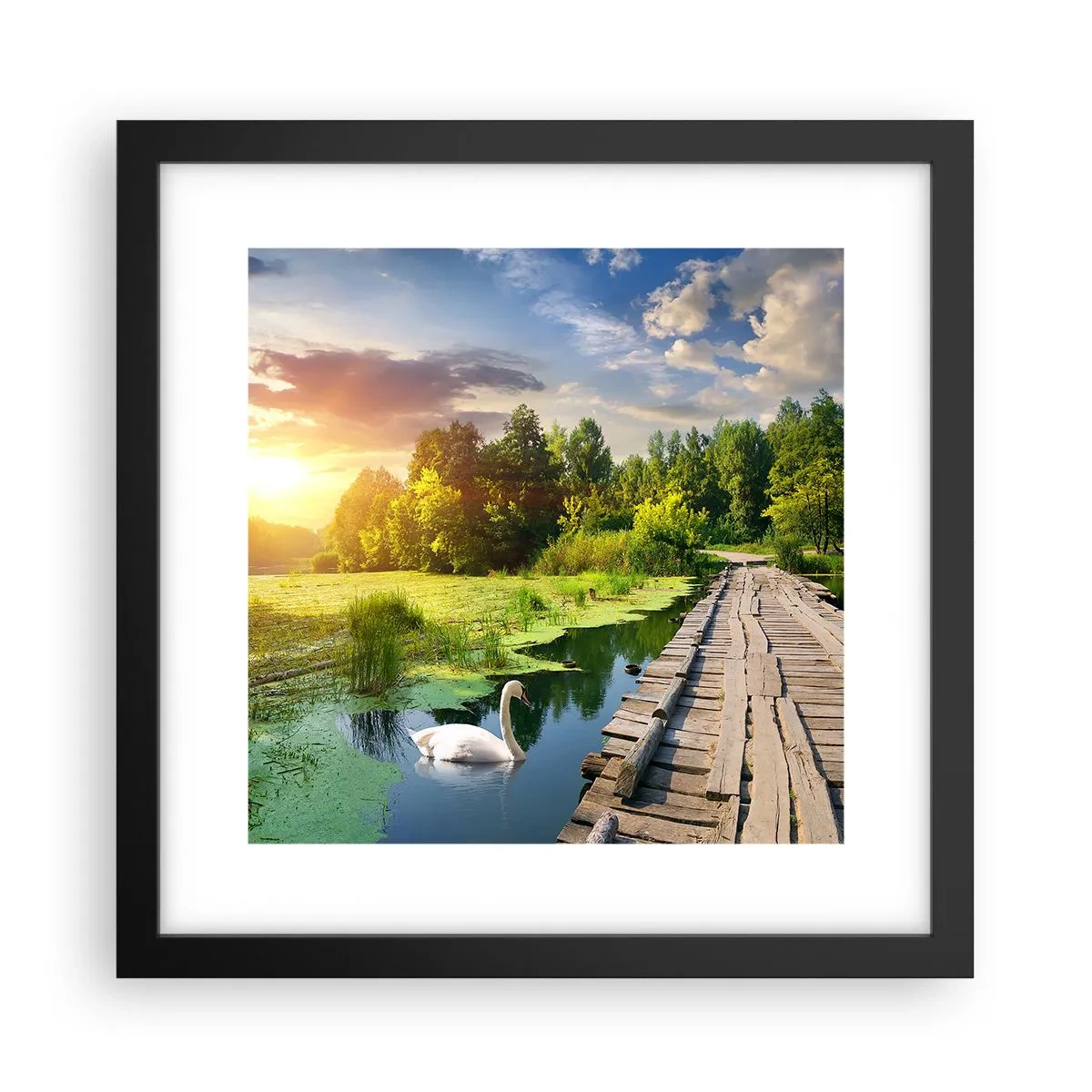 Poster in einem schwarzem Rahmen - Sommer, Sommer überall - 30x30 cm