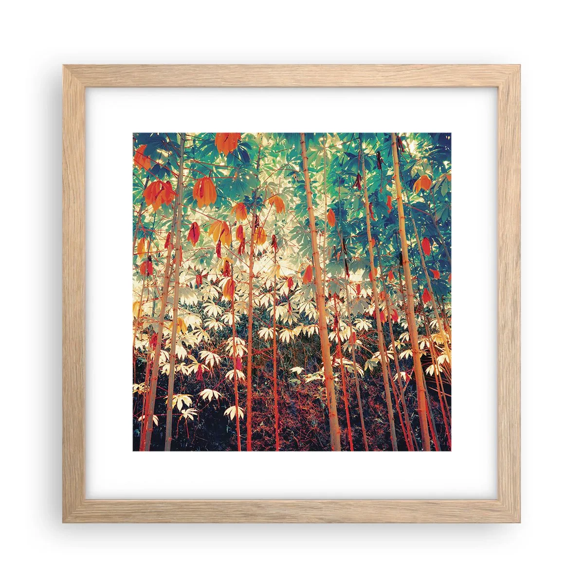 Poster in einem Rahmen aus heller Eiche - Das geheime Leben der Blätter - 30x30 cm