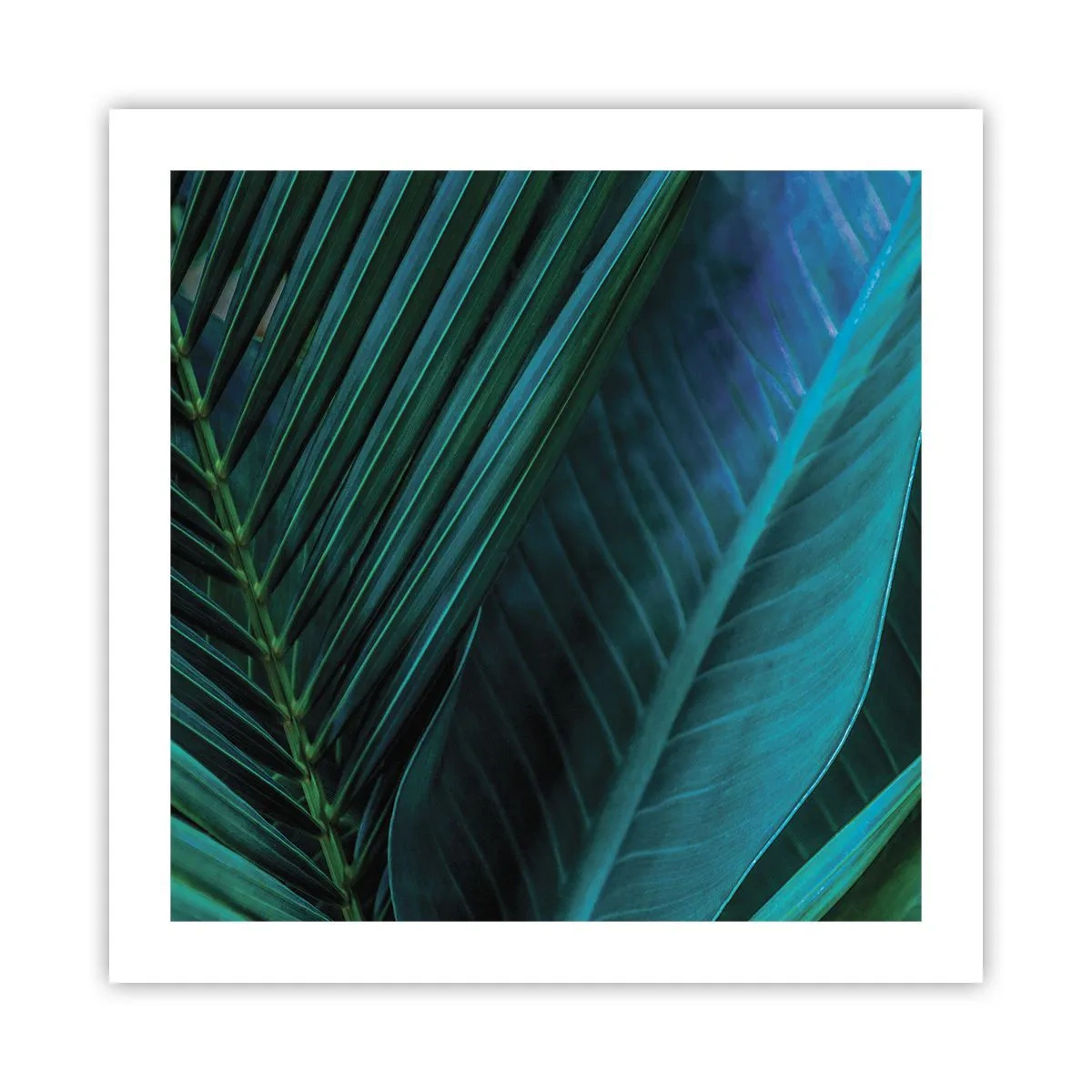 Poster - Die Anatomie des Grüns - 50x50 cm