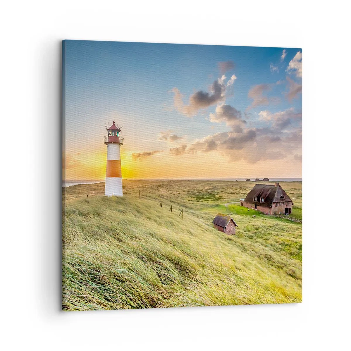 Bild auf Leinwand - Leinwandbild - Zwischen den Wellen - 50x50 cm