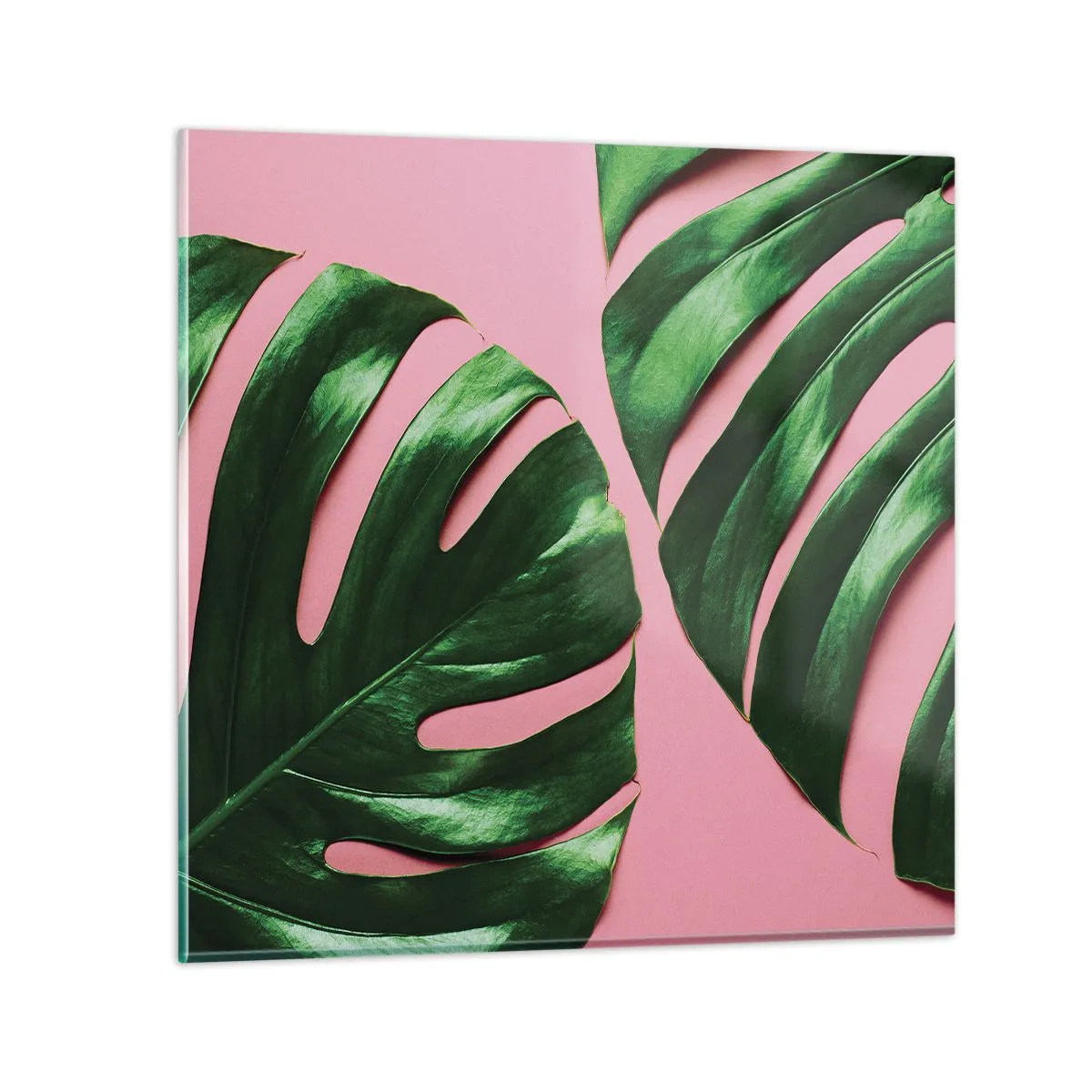 Glasbild - Bild auf glas - Rendezvous im Grünen - 60x60 cm