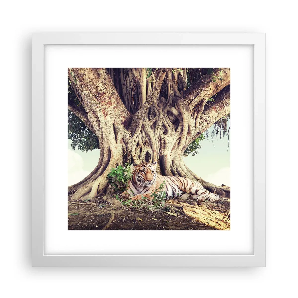 Poster in einem weißen Rahmen - Blick aus dem Buch Genesis - 30x30 cm