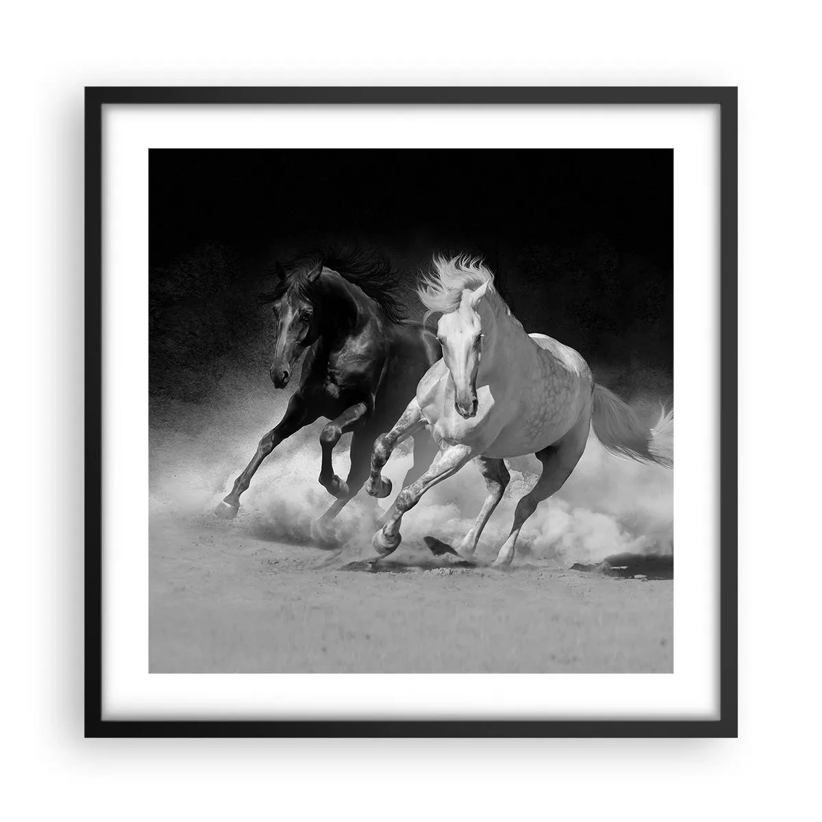 Poster in einem schwarzem Rahmen - Galopp der Freiheit - 50x50 cm
