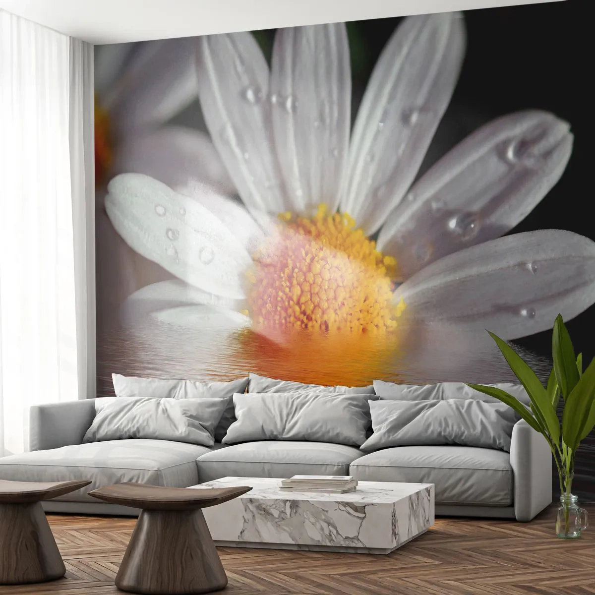 Fototapete Premium Canvas - Die aufgehende Sonne der Gänseblümchen - Blume, Kamille, Natur - 300x210 cm