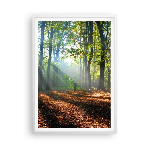 Poster in einem weißen Rahmen - Licht und Schatten - 70x100 cm