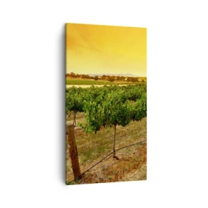 Bild auf Leinwand - Leinwandbild - Holen Sie sich einen Drink von der Sonne - 45x80 cm