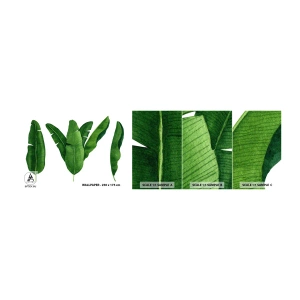 Fototapetenmuster Standard Eco - Grüne Symmetrie - Bananenblatt, Tropisch, Botanischer Stil - 100x30 cm