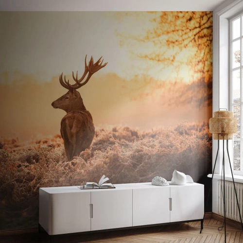 Fototapete Premium Sand - Hirsch im goldenen Licht des Sonnenuntergangs - 100x70cm - Herr im eigenen Land - Moderne Wanddekoration für Wohnzimmer und Schlafzimmer ARTTOR